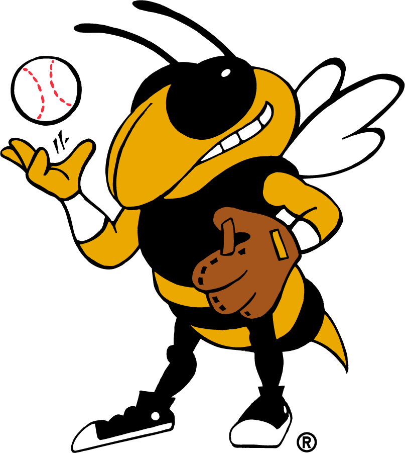 Georgia Tech Yellow Jackets 1999-2015 Mascot Logo v5 diy iron on heat transfer